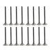 dnj exhaust / intake valve kit 2000-2002 infiniti,nissan g20,sentra,g20 l4 2.0l vk16673