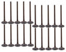 dnj exhaust / intake valve kit 2000-2016 ford e-350 econoline club wagon,e-350 super duty,e-450 econoline super duty v10 6.8l vk204149
