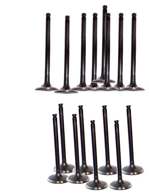 Exhaust / Intake Valve Kit