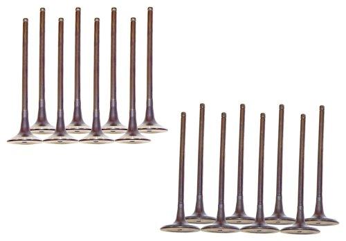 dnj exhaust / intake valve kit 2006-2018 hyundai,kia sonata,optima,sonata l4 2.0l,2.4l vk16168