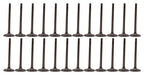 dnj exhaust / intake valve kit 2007-2009 suzuki xl-7,xl-7,xl-7 v6 3.6l vk24535