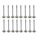 dnj exhaust / intake valve kit 2007-2016 buick,chevrolet,pontiac solstice,sky,cobalt l4 2.0l vk16323