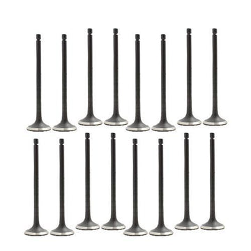 dnj exhaust / intake valve kit 2007-2019 chevrolet,nissan sentra,versa,sentra l4 1.8l,2.0l vk16635
