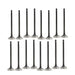 dnj exhaust / intake valve kit 2007-2019 chevrolet,nissan sentra,versa,sentra l4 1.8l,2.0l vk16635