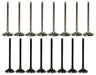 dnj exhaust / intake valve kit 2009-2013 suzuki grand vitara,grand vitara,kizashi l4 2.4l vk16534