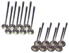 dnj exhaust / intake valve kit 2011-2017 hyundai,kia elantra,elantra,soul l4 1.8l,2.0l vk16193