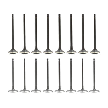 dnj exhaust / intake valve kit 2013-2019 nissan sentra,sentra,sentra l4 1.8l vk16674