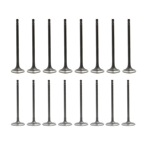 dnj exhaust / intake valve kit 2013-2019 nissan sentra,sentra,sentra l4 1.8l vk16674