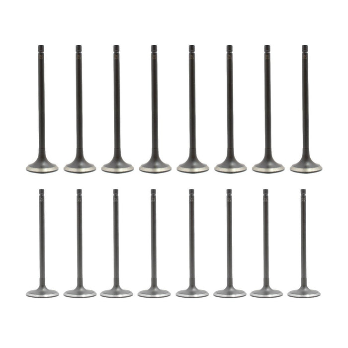 dnj exhaust / intake valve kit 2013-2019 nissan sentra,sentra,sentra l4 1.8l vk16674