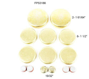 dnj expansion plug kit 1996-1997 buick,chevrolet,oldsmobile lesabre,park avenue,park avenue v6 3.8l fps3186