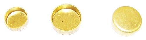 dnj expansion plug kit 1997-2001 chevrolet,pontiac corvette,camaro,corvette v8 5.7l fps3159