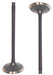 dnj intake valve 1986-1989 acura integra,integra,integra l4 1.6l iv211