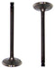 dnj intake valve 1991-1999 infiniti,nissan g20,nx,sentra l4 2.0l iv670