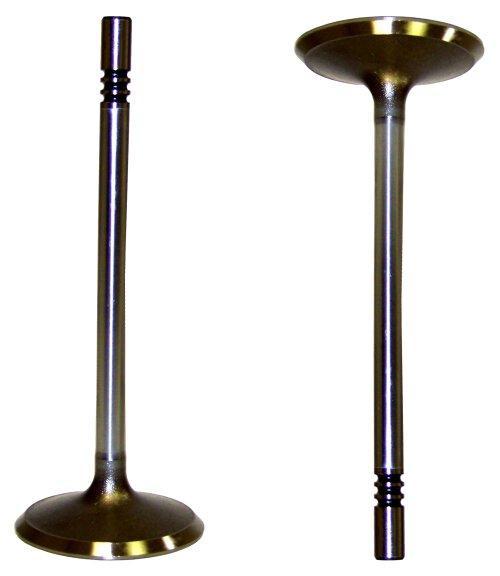 dnj intake valve 1991-2004 ford,lincoln,mercury town car,crown victoria,town car v10,v8 4.6l,5.4l,6.8l iv4147