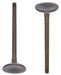 dnj intake valve 1996-2001 acura,honda integra,integra,cr-v l4 1.8l,2.0l iv212a