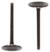 dnj intake valve 1996-2003 buick,chevrolet,oldsmobile lesabre,park avenue,park avenue v6 3.8l iv3143
