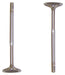 dnj intake valve 1997-2006 audi,volkswagen a4,a4 quattro,a4 l4,v6 1.8l,2.7l,2.8l iv800