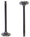 dnj intake valve 1998-2004 acura,honda,isuzu slx,passport,amigo v6 3.2l,3.5l iv353