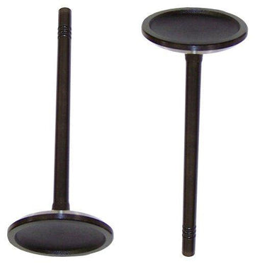 dnj intake valve 1999-2016 ford,lincoln,mercury mustang,mustang,crown victoria v10,v8 4.6l,5.4l,6.8l iv4149