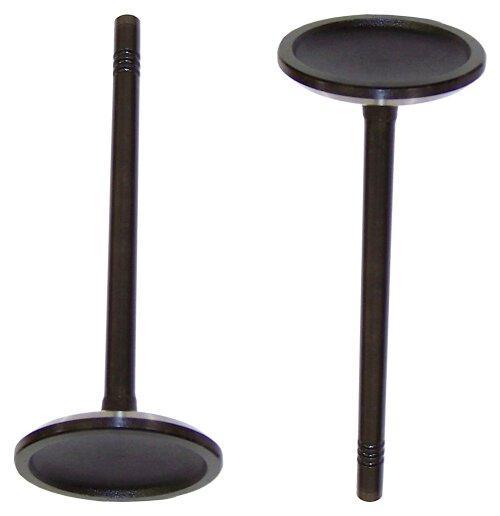 dnj intake valve 1999-2016 ford,lincoln,mercury mustang,mustang,crown victoria v10,v8 4.6l,5.4l,6.8l iv4149