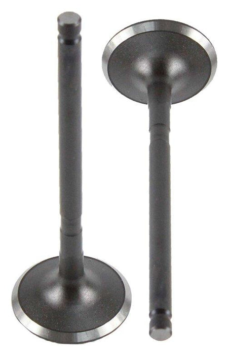 dnj intake valve 2001-2006 hyundai,kia xg300,xg350,sedona v6 3.0l,3.5l iv139