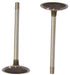 dnj intake valve 2004-2007 buick,chevrolet,pontiac malibu,terraza,malibu v6 3.5l iv320