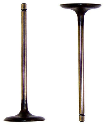 dnj intake valve 2005-2015 toyota tacoma,tacoma,tacoma l4 2.7l iv954