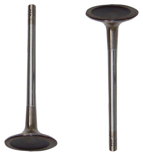 Intake Valve — DNJ ENGINE COMPONENTS, INC.