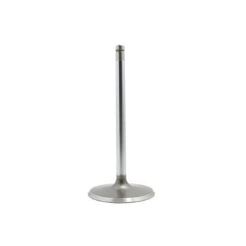 dnj intake valve 2007-2014 cadillac,chevrolet,gmc escalade,escalade,escalade esv v8 6.0l,6.2l iv3215b