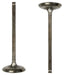 dnj intake valve 2009-2013 suzuki grand vitara,grand vitara,kizashi l4 2.4l iv534