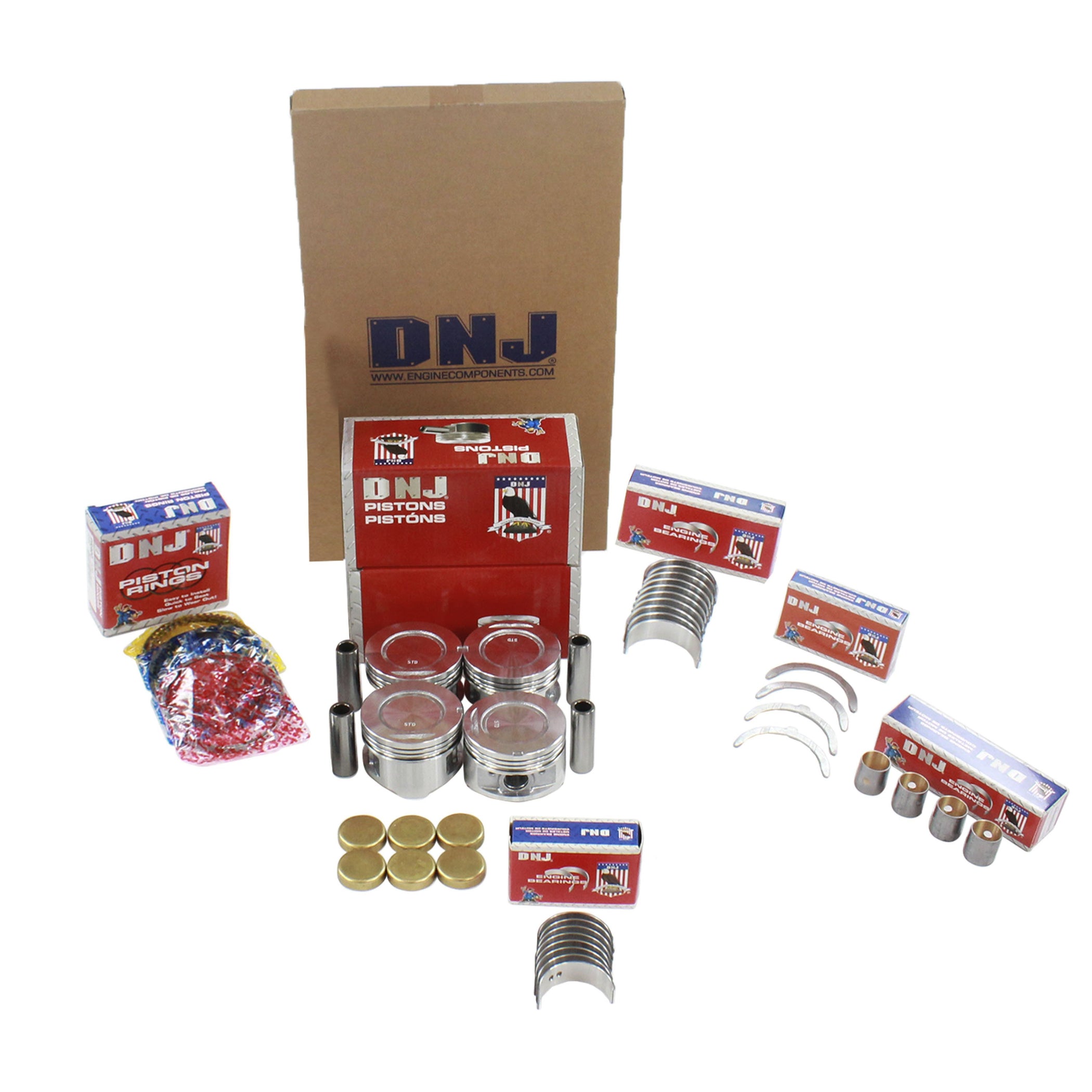 Engine Rebuild Kit — DNJ ENGINE COMPONENTS, INC.