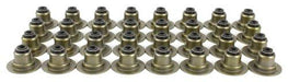 dnj valve stem oil seal set 1997-2010 ford,jaguar,lincoln xk8,vanden plas,xj8 v8 3.9l,4.0l,4.2l vss4162
