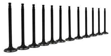 95-04 Nissan Mercury Infiniti 3.0L-3.3L Intake and Exhaust Valve Set