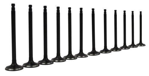 95-04 Nissan Mercury Infiniti 3.0L-3.3L Intake and Exhaust Valve Set