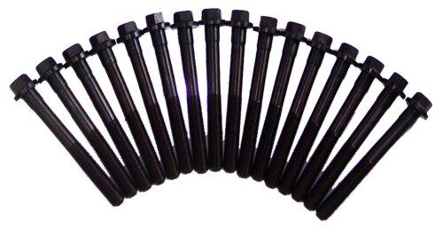 Head Gasket Set w/ Head Bolts