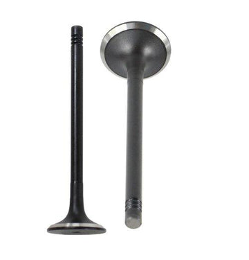 05-15 Audi Volkswagen 2.0L-5.2L Exhaust Valve EV802