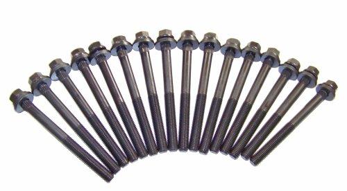 Head Gasket Set w/ Head Bolts