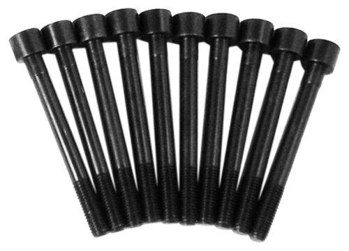 Head Gasket Set w/ Head Bolts