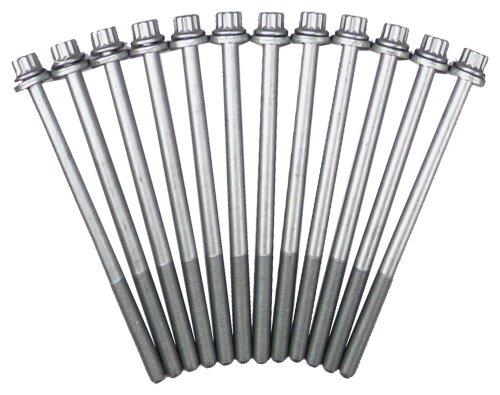 Head Gasket Set w/ Head Bolts