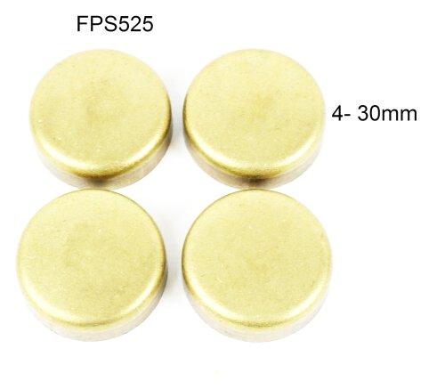 89-95 Geo Tracker 1.6L L4 Freeze Plug Set (Brass) FPS525