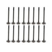 95-98 Mazda 1.5L Intake and Exhaust Valve Set