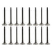 00-01 Nissan 2.4L Intake and Exhaust Valve Set