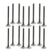 93-97 Geo Toyota 1.6L-1.8L Intake and Exhaust Valve Set