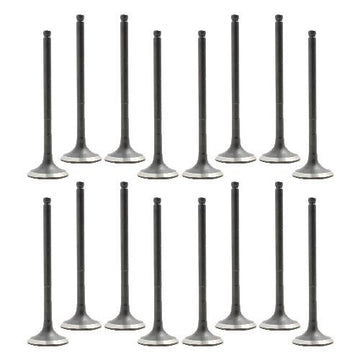 00-16 Toyota Scion 1.5L Intake and Exhaust Valve Set