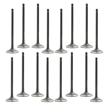 05-15 Toyota 2.7L Intake and Exhaust Valve Set