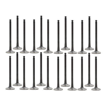 93-02 Mazda Ford 2.5L Intake and Exhaust Valve Set