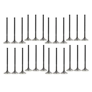 05-16 Lexus Toyota 3.5L-5.7L Intake and Exhaust Valve Set