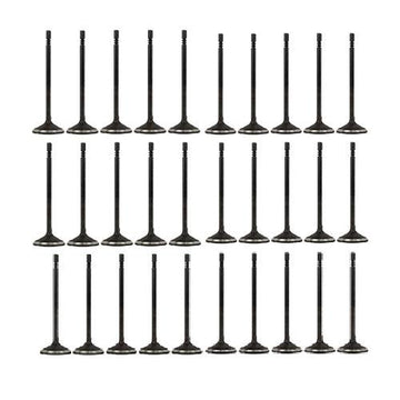 04-15 Ford Lincoln Mercury 4.6L-6.8L Intake and Exhaust Valve Set