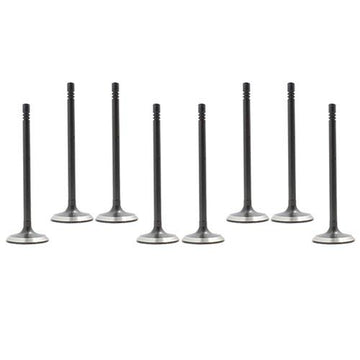 95-01 Ford Mazda 2.3L-2.5L Intake and Exhaust Valve Set